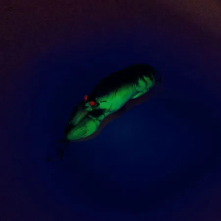 Rebel Wee-Crawfish Shallow UV (світиться в ультрафіолеті), 2,5 г, воблер #10904