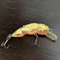 Rebel Wee-Crawfish Shallow