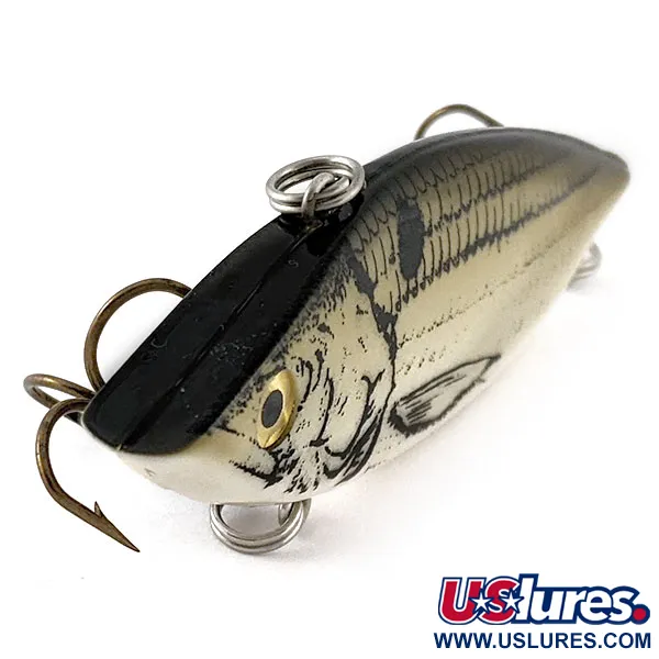 Smooth Catch Evan Williams