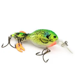 Renosky Lures Guido's Double Image