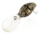 Renosky Lures Renosky Deep Dive Honeycomb Rattl shad, золото, 12 г, воблер #18726