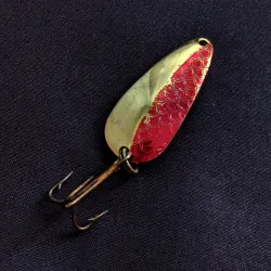 Rocky Mountain minnow