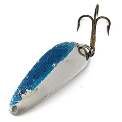 Rocky Mountain minnow