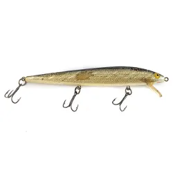 Bill Norman  Shiner Minnow 