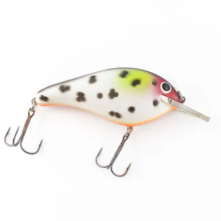 Bandit Flat Maxx Shallow