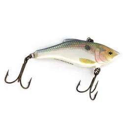 Rapala Rattl'n RAP RNR-7