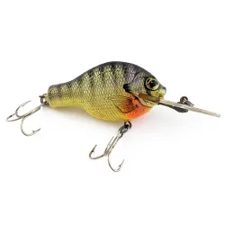 Bagley Small Fry Bream BR9