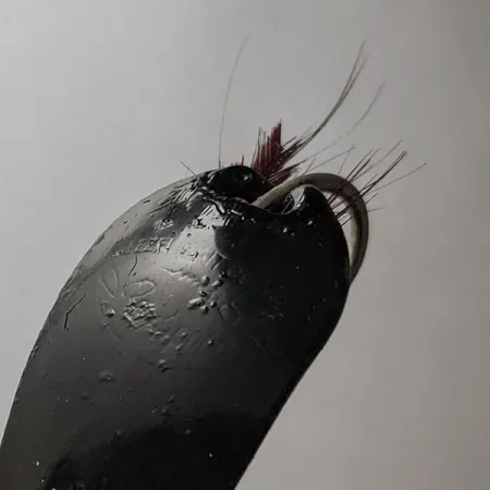 Weezel Rex Spoon, black, 12 г #21779