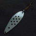 Chruscz Spoonfish