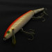  Rebel Floater F14 Jointed, orange/gold, 14, воблер #23705