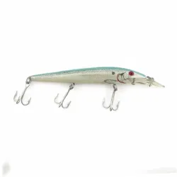 Rebel Fastrac  F12 G- Finish