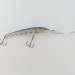 Rapala Down Deep Husky Jerk DHJ10,  Rainbow Trout, 11, воблер #23994