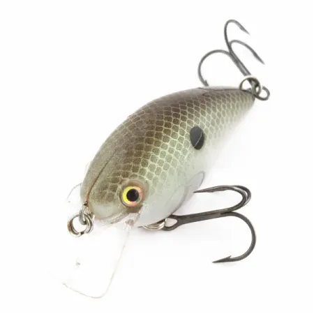 Strike King KVD 1.5 Silent square bill, Olive Sexy Shad, 12, воблер #24028