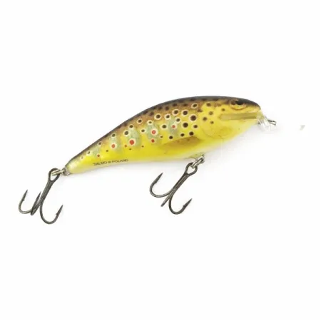 Salmo Executor  7 Shallow