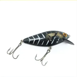 Bomber Speed Shad