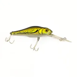 Cabela's Real Image