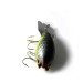  Mud Bug Fred Arbogast, зелений/жовтий/сірий, 10 г, воблер #0209