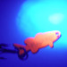 Unknown Flash Fish UV (світиться в ультрафіолеті), нікель/UV - світиться в ультрафіолеті, 3,4 г, блесна коливалка (колебалка) #3254