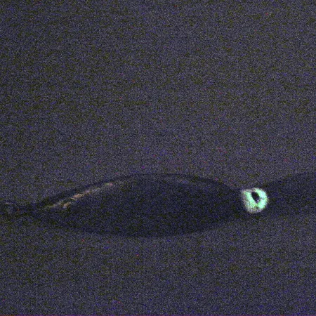 Незачіпляйка Fred Arbogast 3 Hawaiian (світиться в темряві), 16 г, блесна коливалка (колебалка) #3338