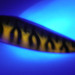 Boss Lures Boss Spoon, золотий Tiger UV - світиться в ультрафіолеті, 19 г, блесна коливалка (колебалка) #4070