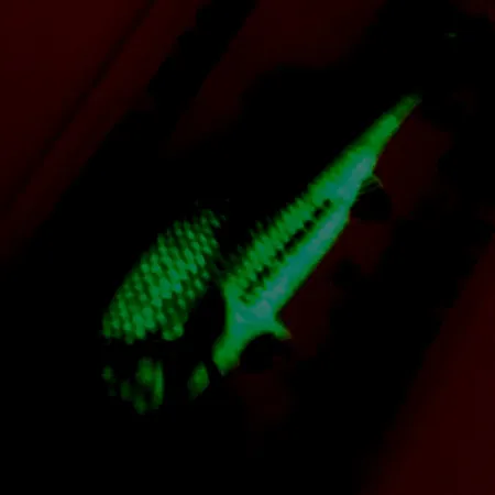 Northland Live Forage (світиться в темряві), rainbow fish, 7 г, блесна коливалка (колебалка) #5140