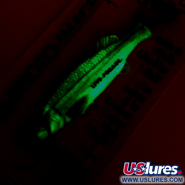 Northland tackle Live Forage (світиться в темряві), Реалістичне зображення  риби, 7 г, блесна коливалка (колебалка) #5142
