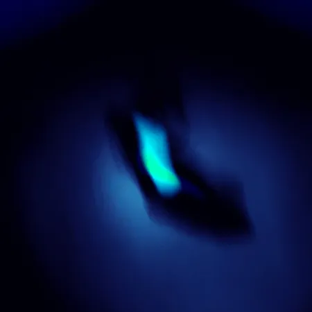 Reef Runner Cicada, чорний/зелений, 1,2 г, блесна коливалка (колебалка) #5241