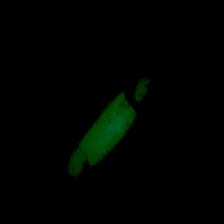 Luhr Jensen Crippled Herring UV (світиться в ультрафіолеті та в темряві), білий/зелений UV Glow - світиться в темряві та ультрафиолете, 21 г, блесна коливалка (колебалка) #5921