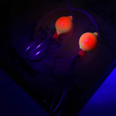 Northland Live Fishing Bait Roach Rig UV (світиться в ультрафіолеті), помаранчевий/неоновий, до рибалки #5967