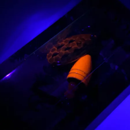 Luhr Jensen Fire Max Miracle 2 UV (світиться в ультрафіолеті), креветка, 7 г, блешня оберталка (вертушка) #6044