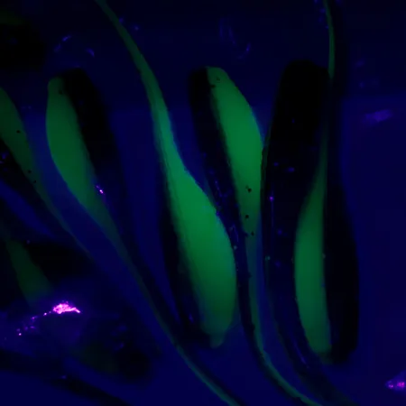 Other Виброхвост Bobby Garland Baby Shad UV (світиться в ультрафіолеті), зелений UV - світиться в ультрафіолеті, до рибалки #6119