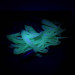 Creme Lure Co Creme Mini Tail, силікон UV (світиться в ультрафіолеті), синій/білий UV - світиться в ультрафіолеті, , до рибалки #6138
