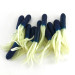 Creme Lure Co Creme Mini Tail, силікон UV (світиться в ультрафіолеті), 20 шт., синій/білий UV - світиться в ультрафіолеті, , до рибалки #14569