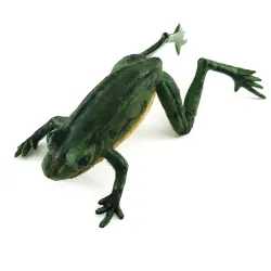 Delong Frog