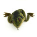  Незачіпляйка LunkerHunt Lunker Frog, Frog, 14 г, до рибалки #6886