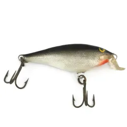 Shallow Shad Rap