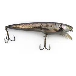 Berkley Frenzy FWD4S